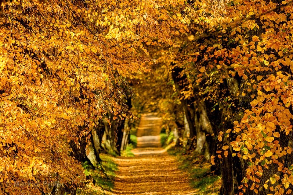 2013.10.26 105803 Herbst Rundfahrt Landsberg